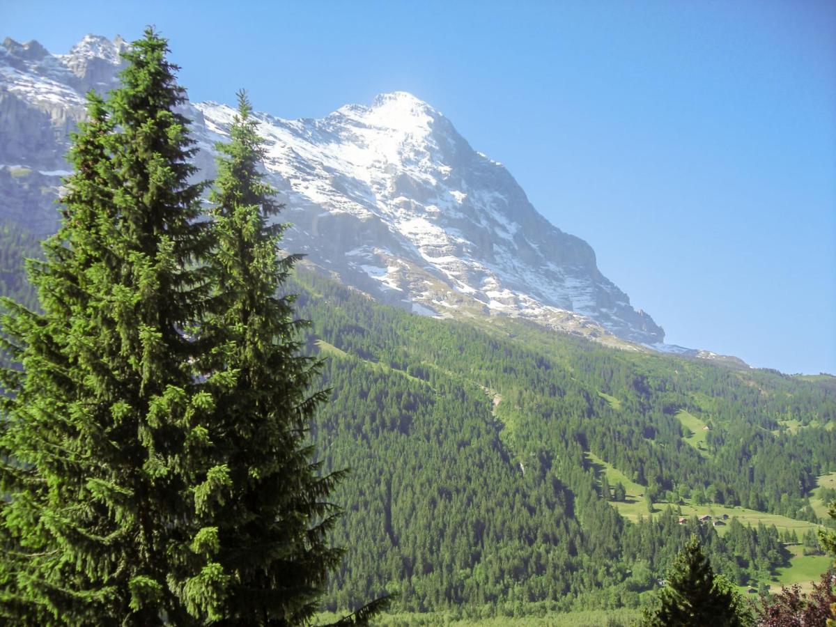 Apartment Chalet Casa Almis 5 By Interhome Apartment Grindelwald