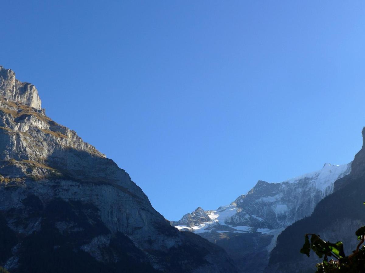 Almis-boedeli-2 By Interhome Apartment Grindelwald