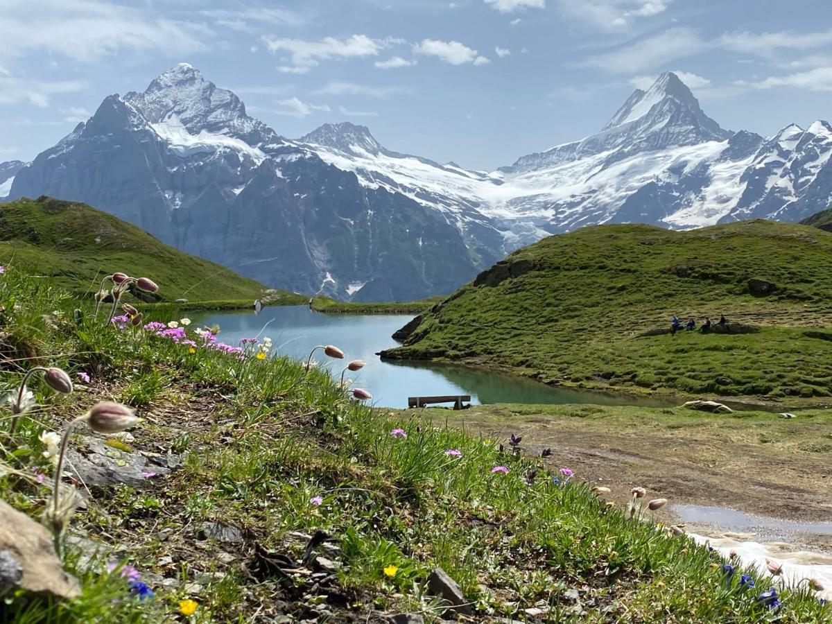 Herrschaft * Grindelwald