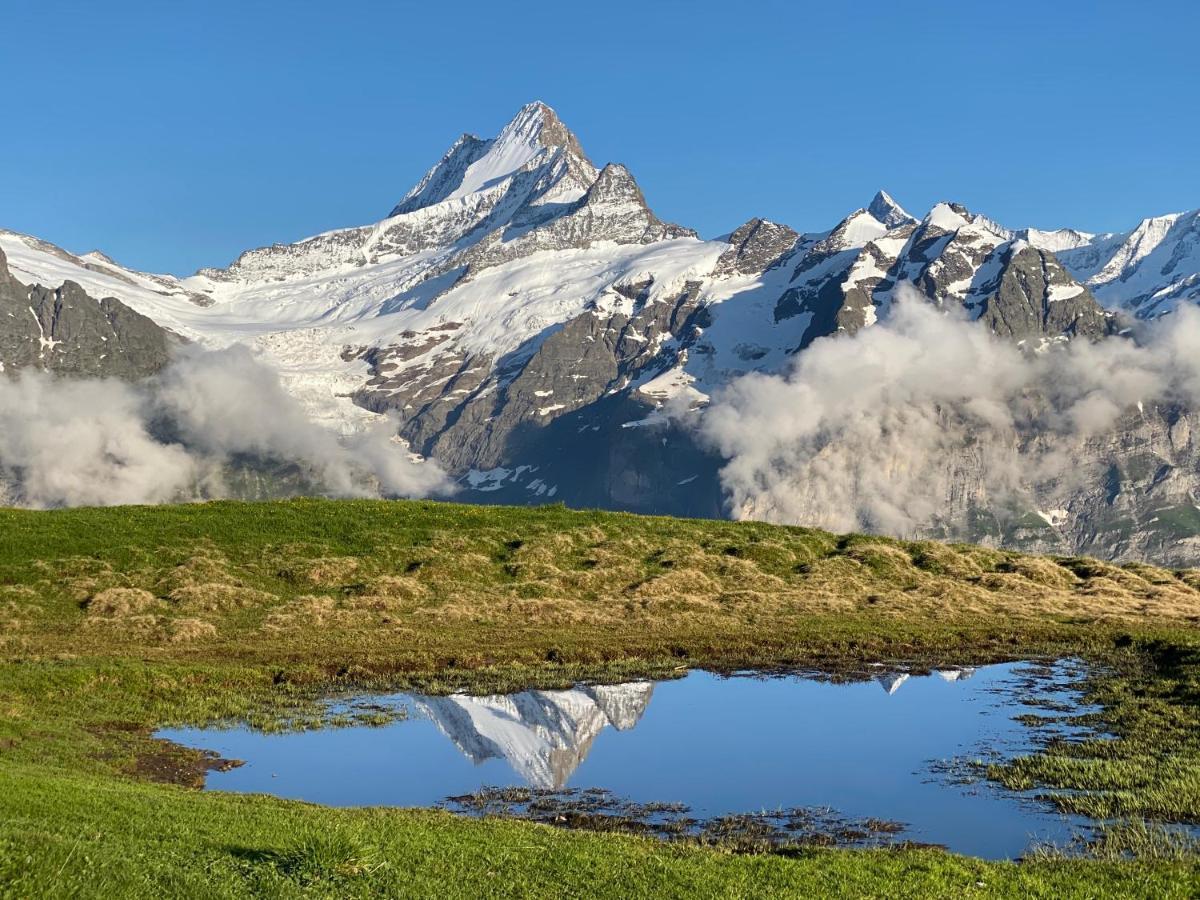 Herrschaft * Grindelwald