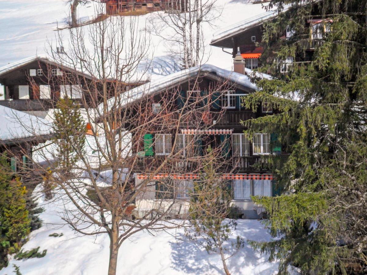 Spassvogel By Interhome Grindelwald