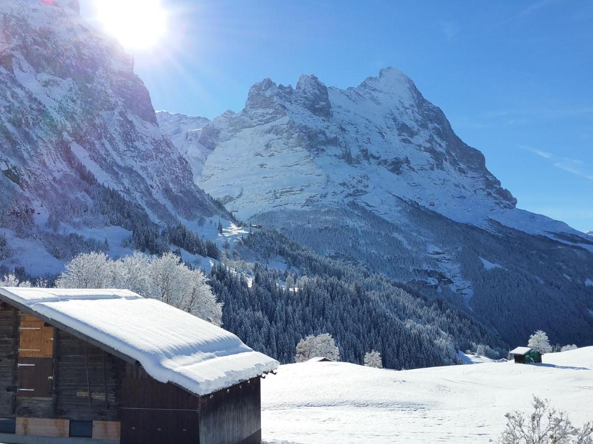 Lohnerhus-1 By Interhome * Grindelwald