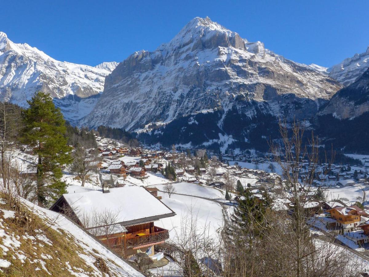 Chalet Ahorn Apartment