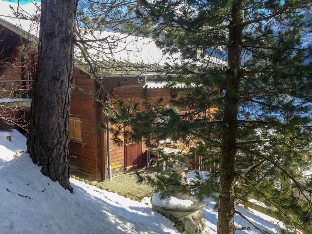 Chalet Ahorn Grindelwald