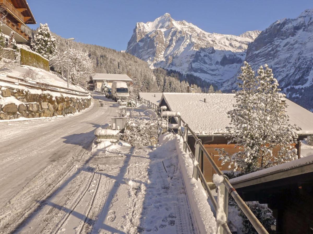 Chalet Ahorn Apartment *