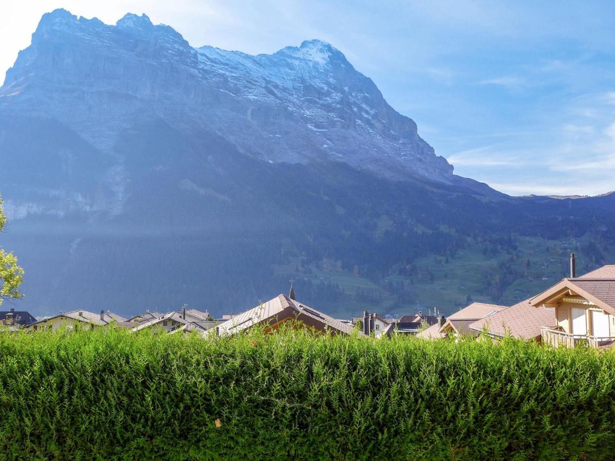 Albi By Interhome * Grindelwald
