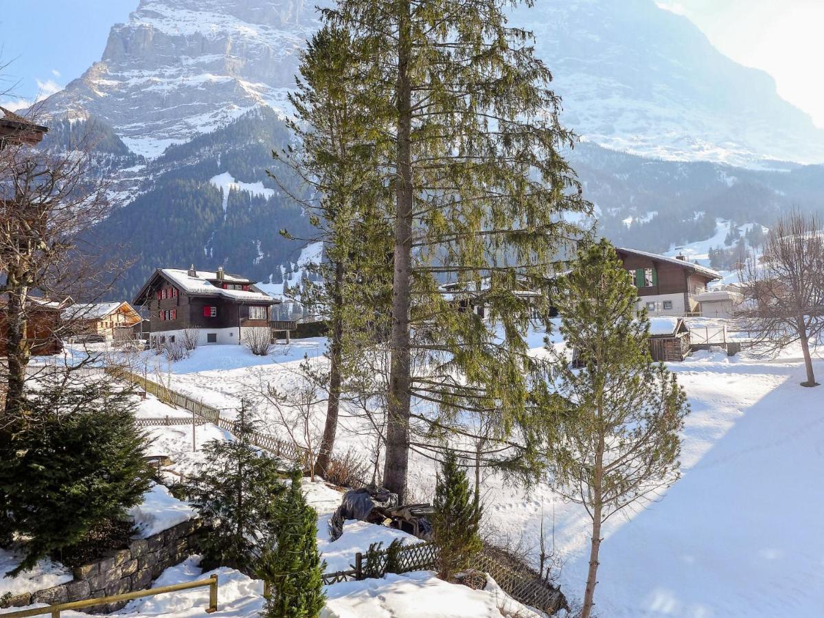 Apartment Spassvogel By Interhome Grindelwald