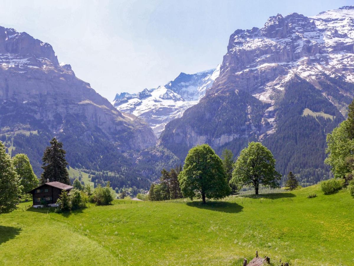 Blaugletscher By Interhome Apartment