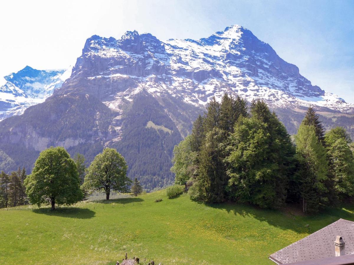 Blaugletscher By Interhome * Grindelwald