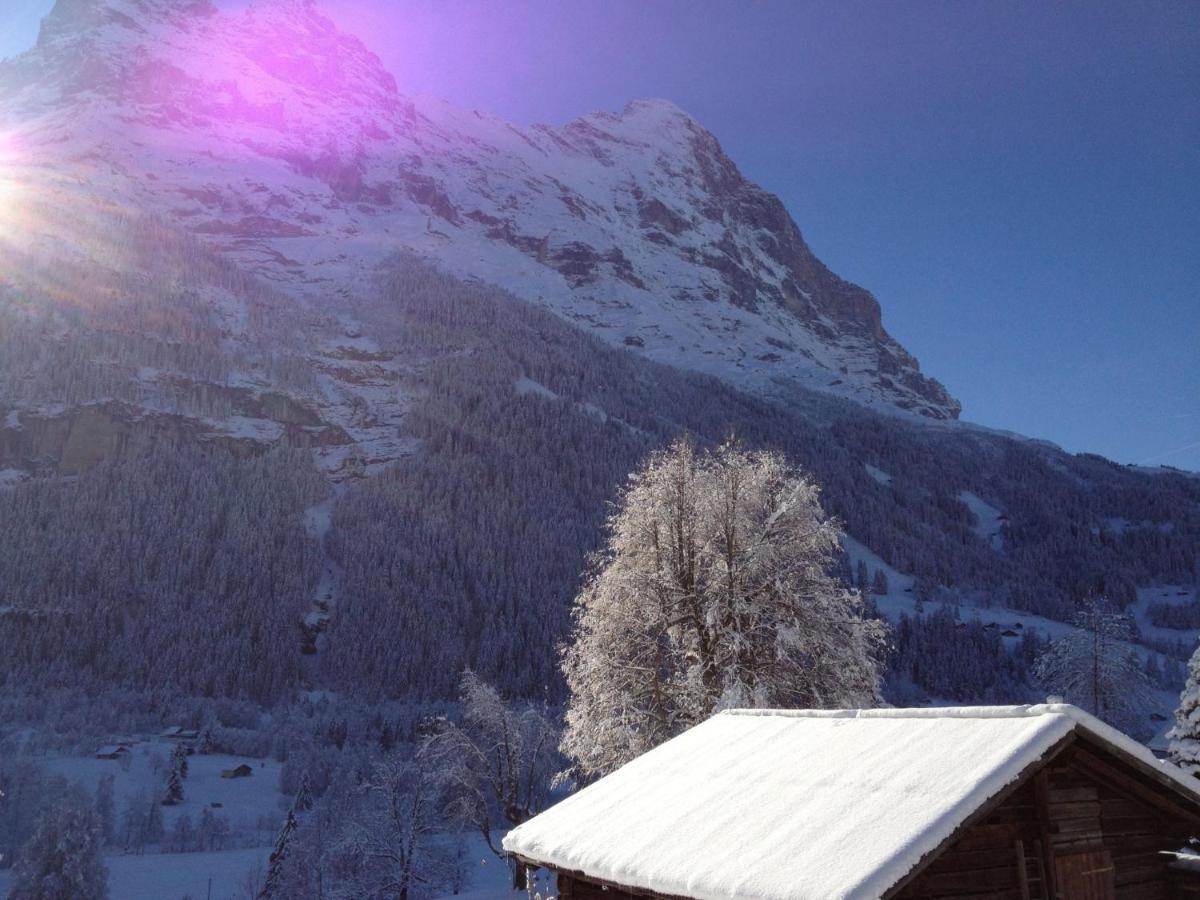 Apartment Chalet Baergsunna-2 By Interhome Apartment Grindelwald