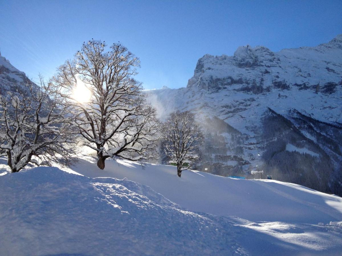 Apartment Apartment Chalet Bergfink By Interhome Grindelwald