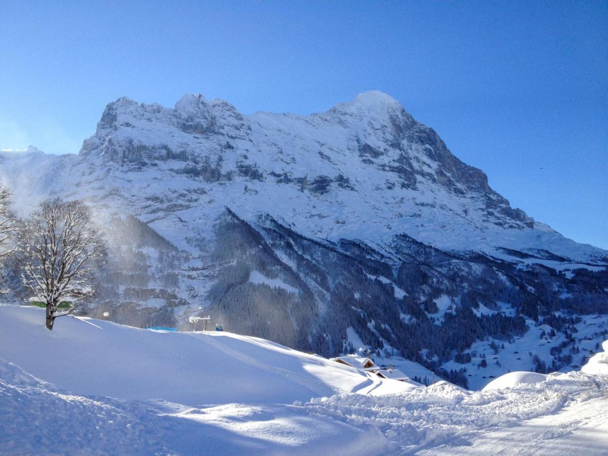 Apartment Apartment Chalet Bergfink By Interhome Grindelwald