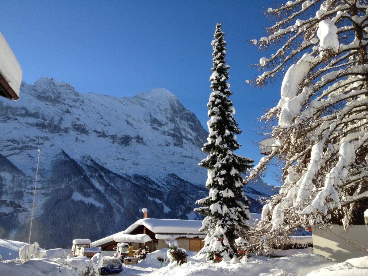 Apartment Chalet Bergfink By Interhome Grindelwald