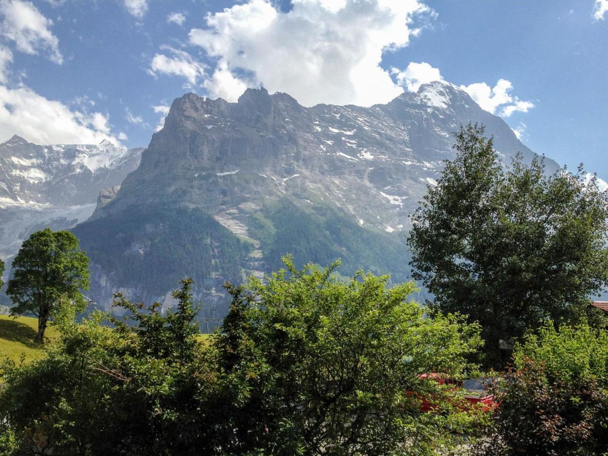 Apartment Chalet Bergfink By Interhome * Grindelwald