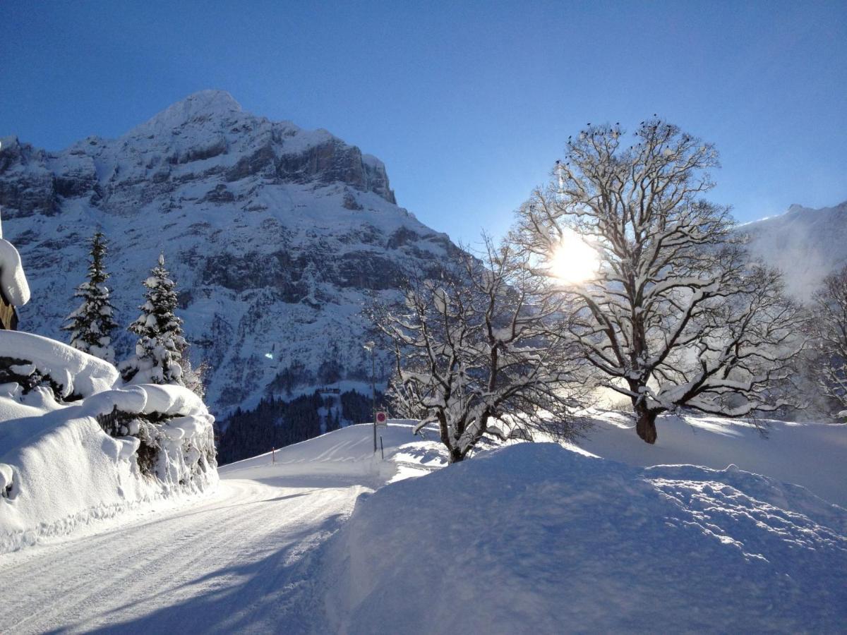 Apartment Chalet Bergfink By Interhome * Grindelwald