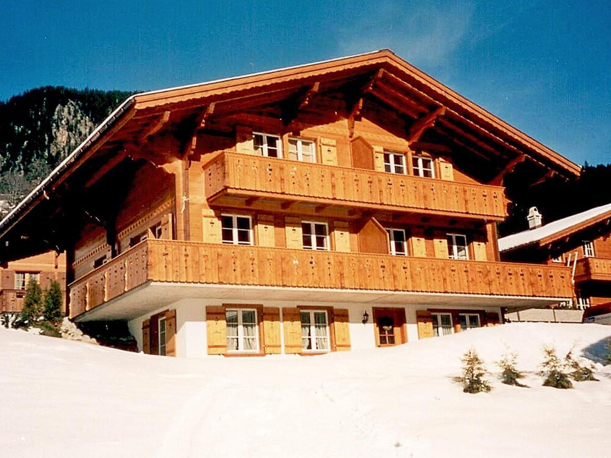 Apartment Apartment Chalet Mittelhorn-1