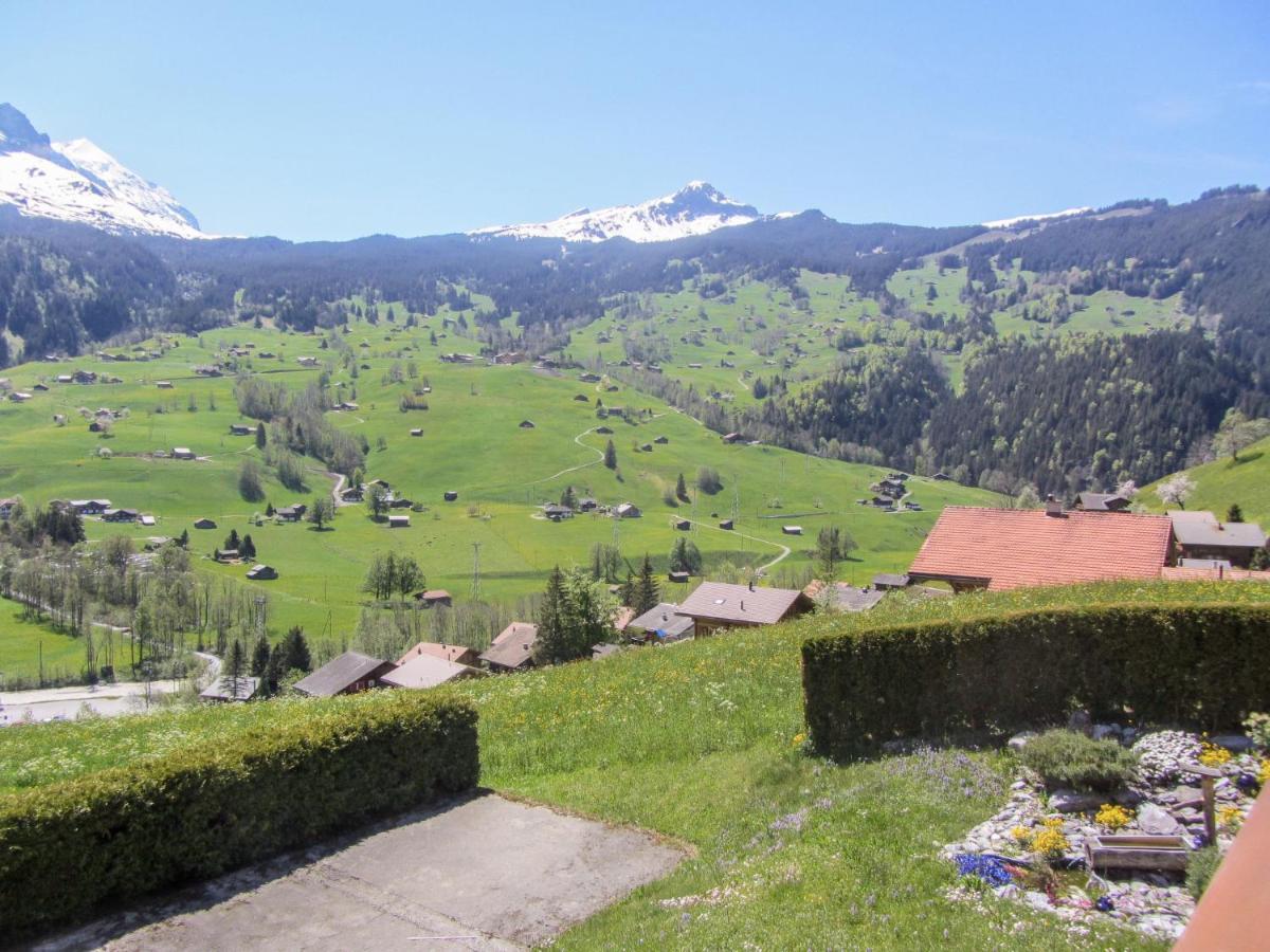 Apartment Chalet Mittelhorn-1 *
