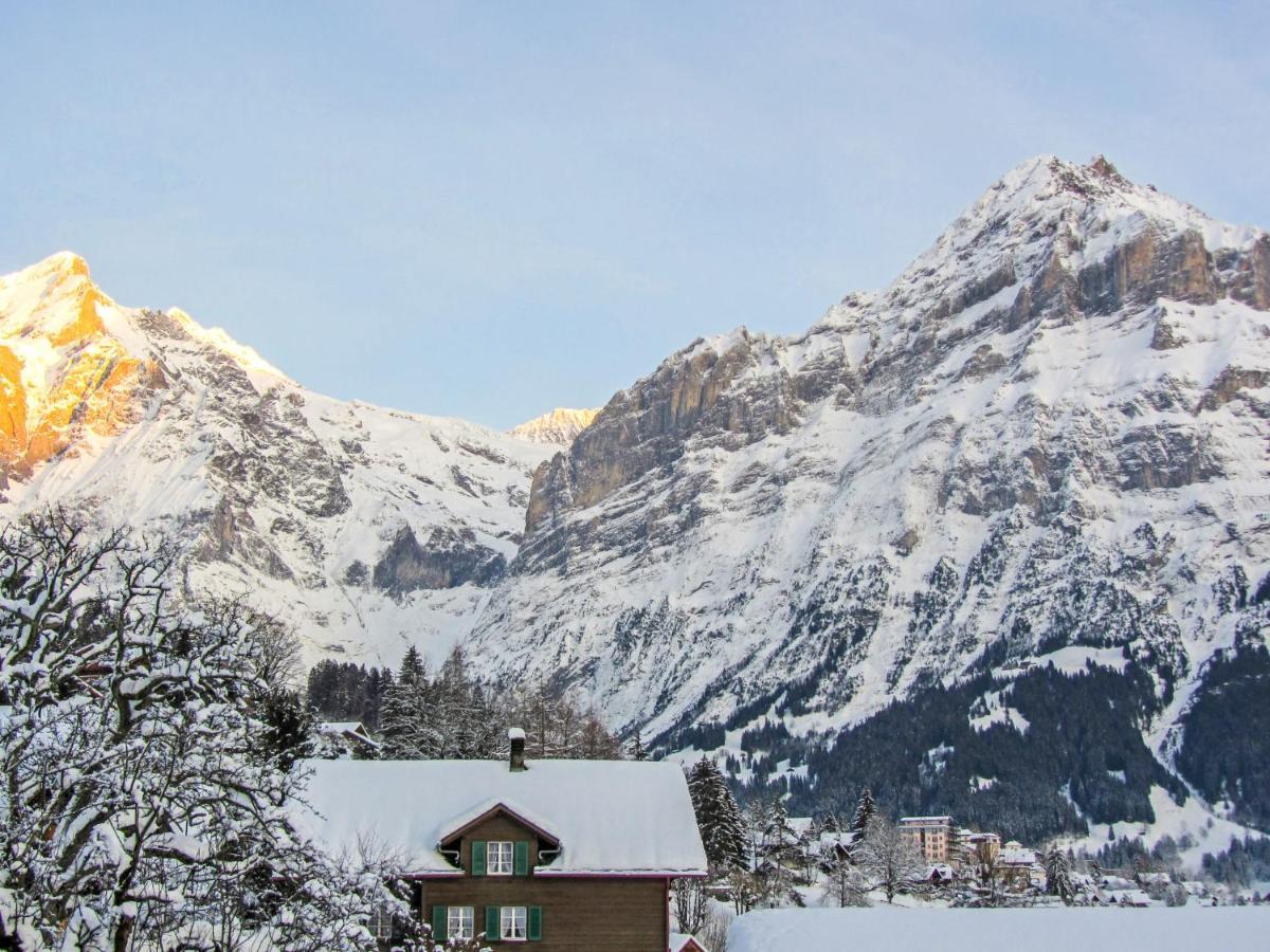 Apartment Apartment Chalet Mittelhorn-1