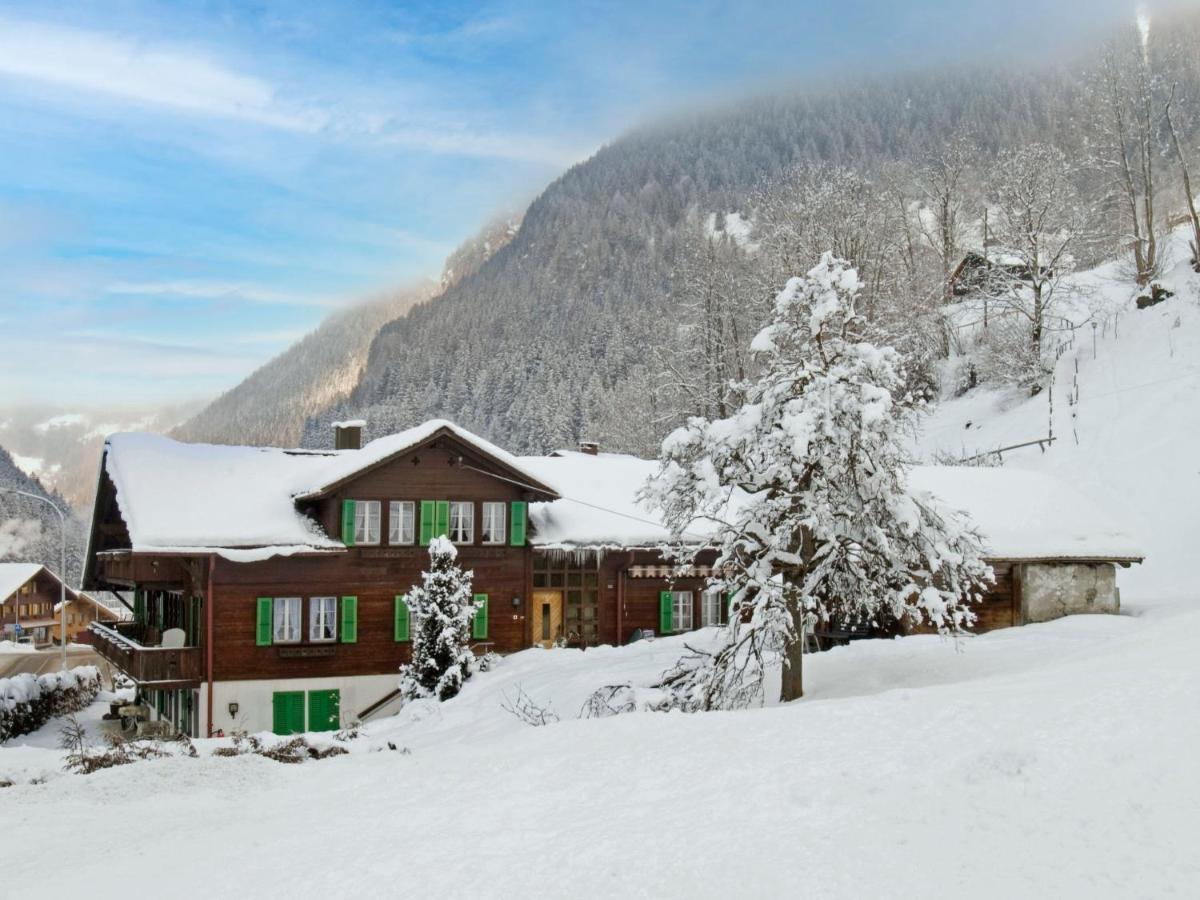 Apartment Chalet Schwendihus-12 Apartment Grindelwald