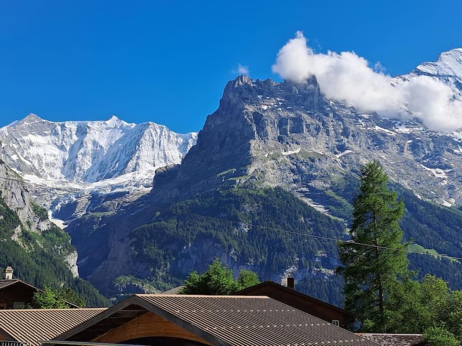 Engi 1 For Up To 8 People Grindelwald