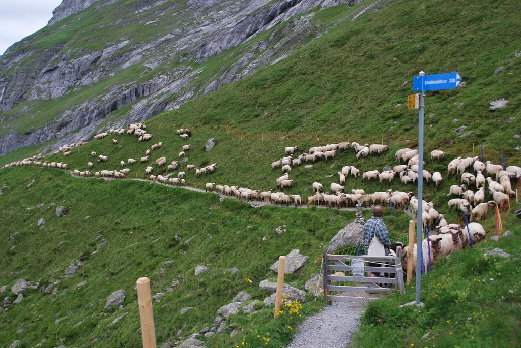 Gasthof Berghaus Baregg