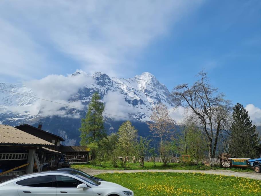 Engi 1 For Up To 8 People * Grindelwald