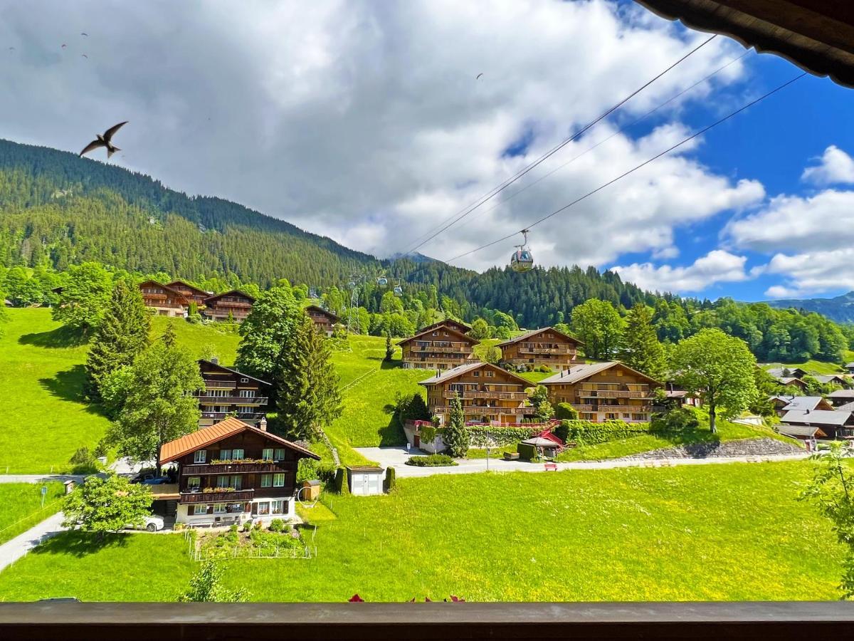 Hotel Bodmi 3*