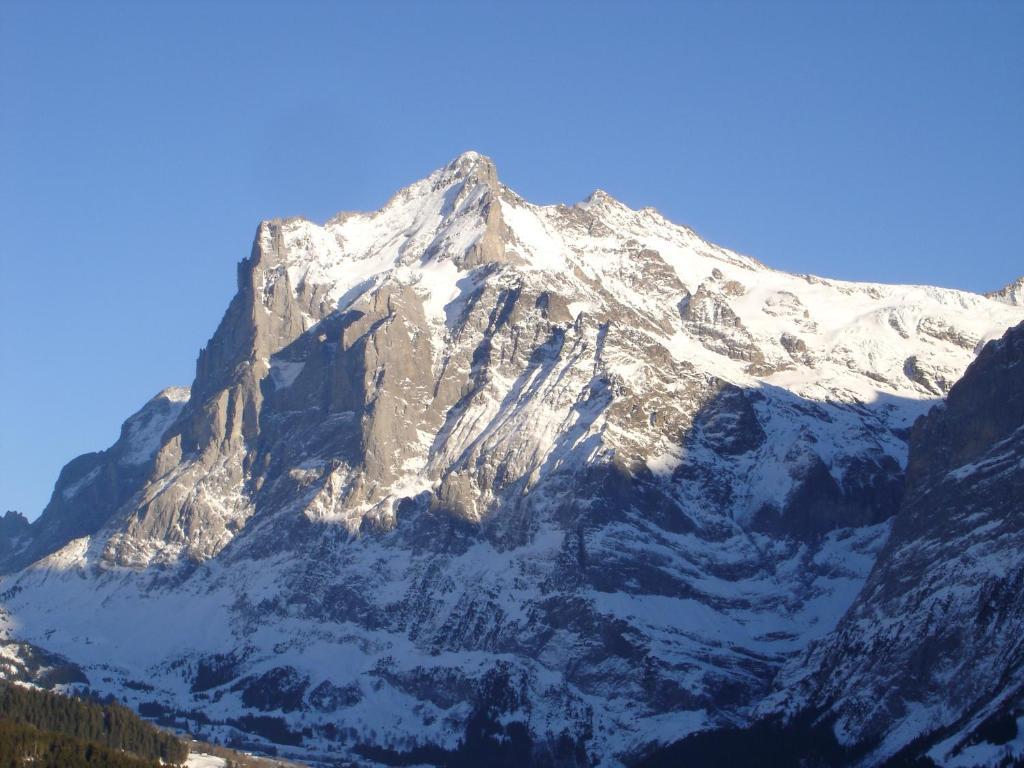 Spinne Apartment Grindelwald