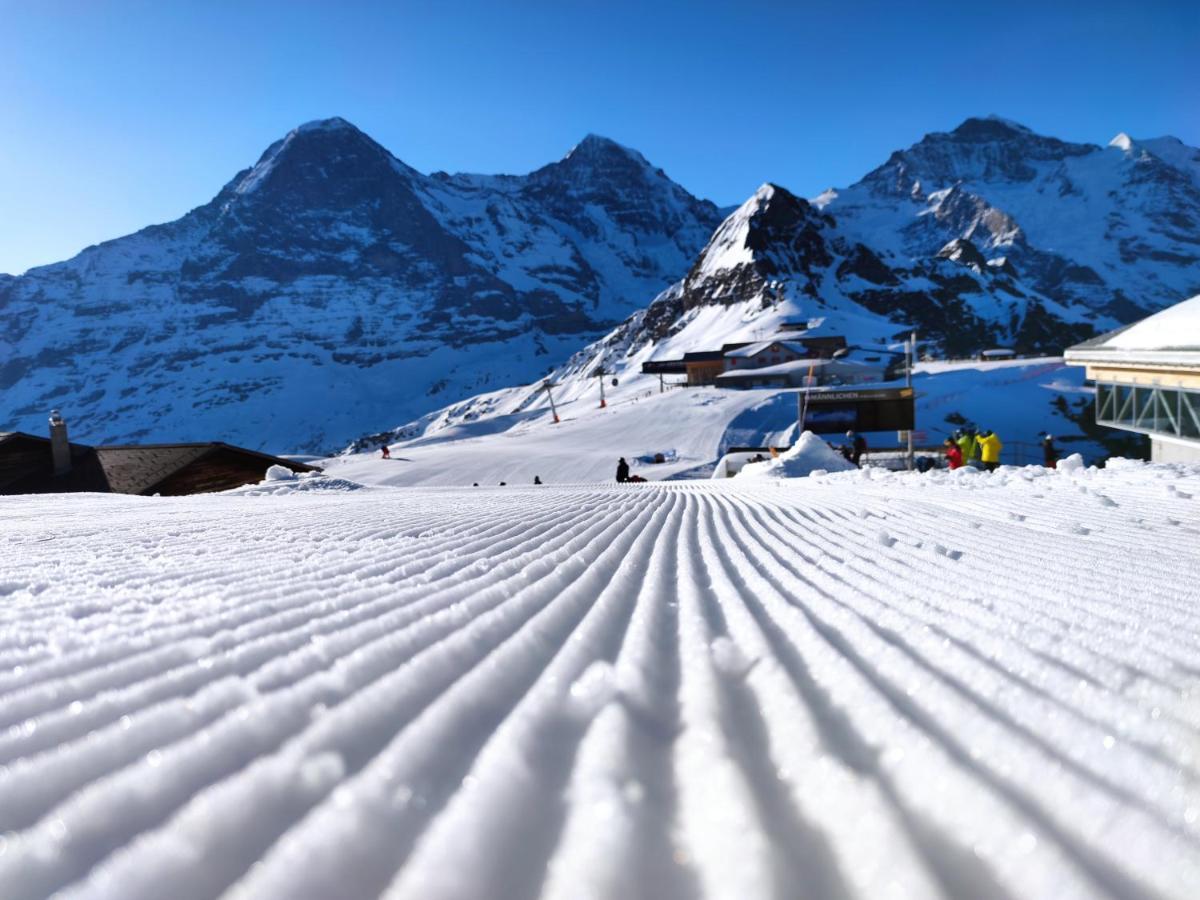 Pfyffer - Mountain View * Grindelwald