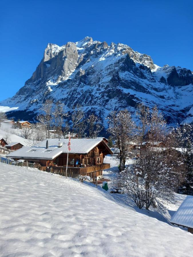 Pfyffer - Mountain View Apartment Grindelwald