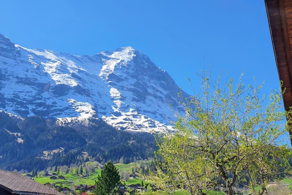 Bergnest Apartment Grindelwald