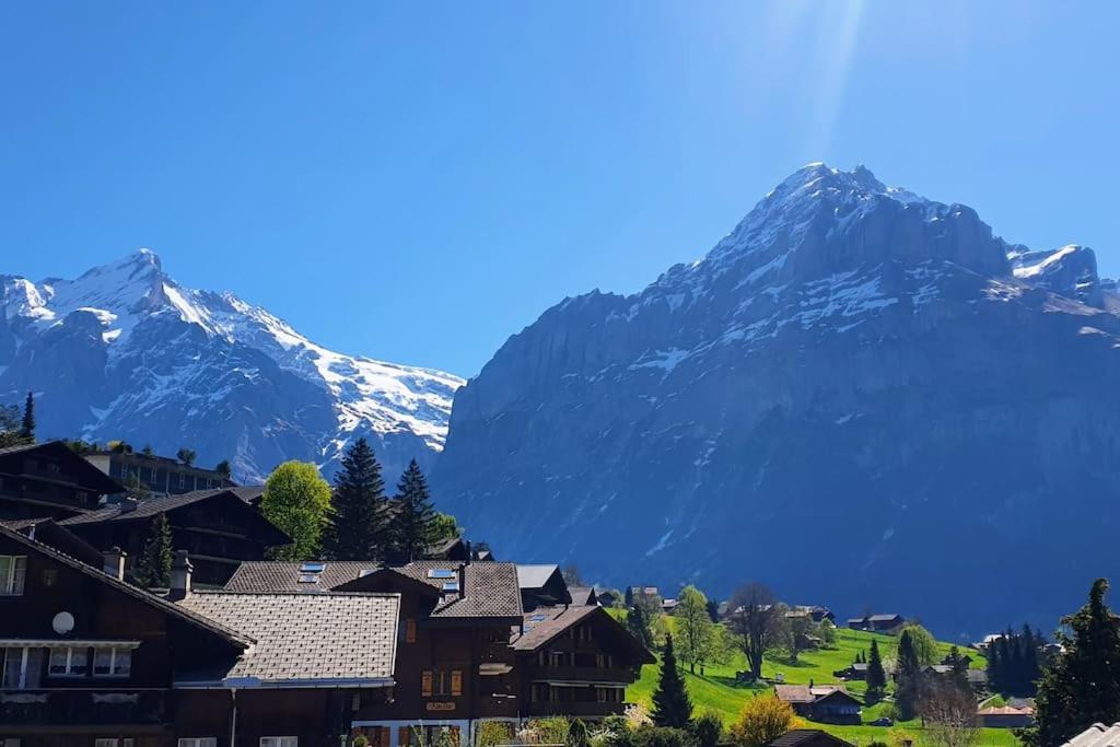 Bergnest Grindelwald