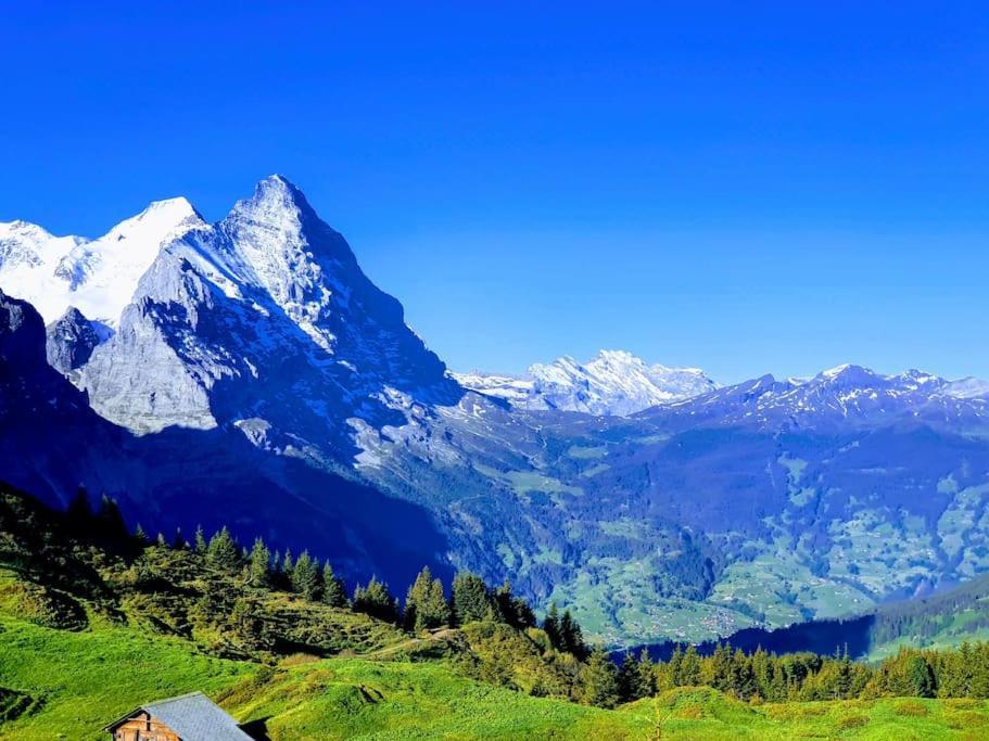 Apartment Bergnest Grindelwald