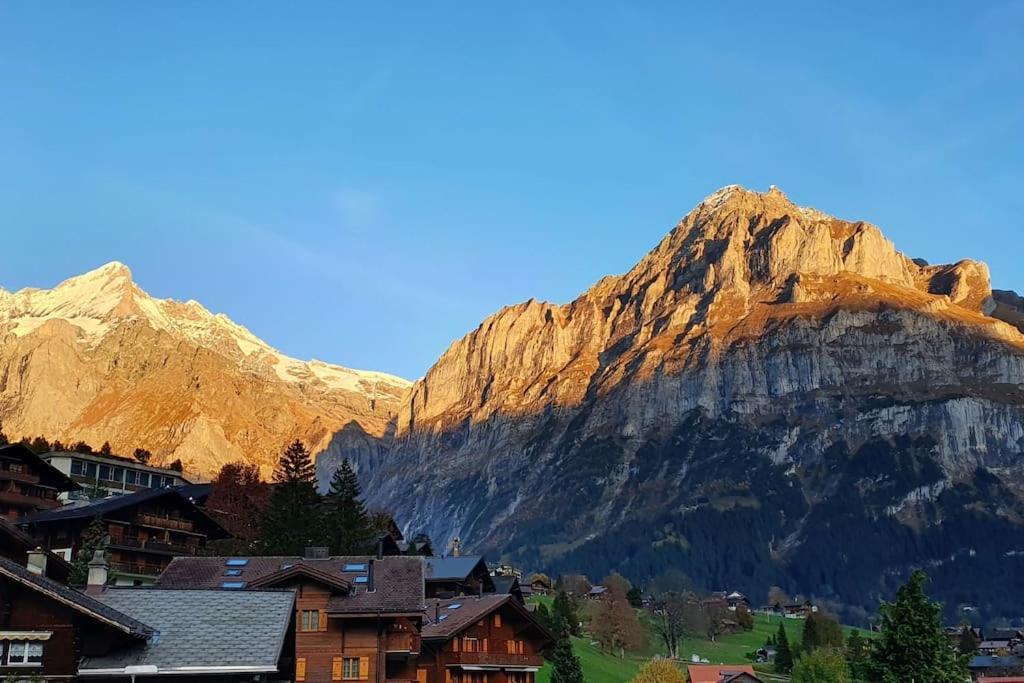 Bergnest *
