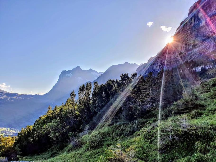 Bergnest * Grindelwald