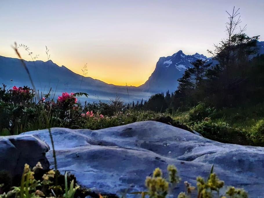 Apartment Bergnest Grindelwald