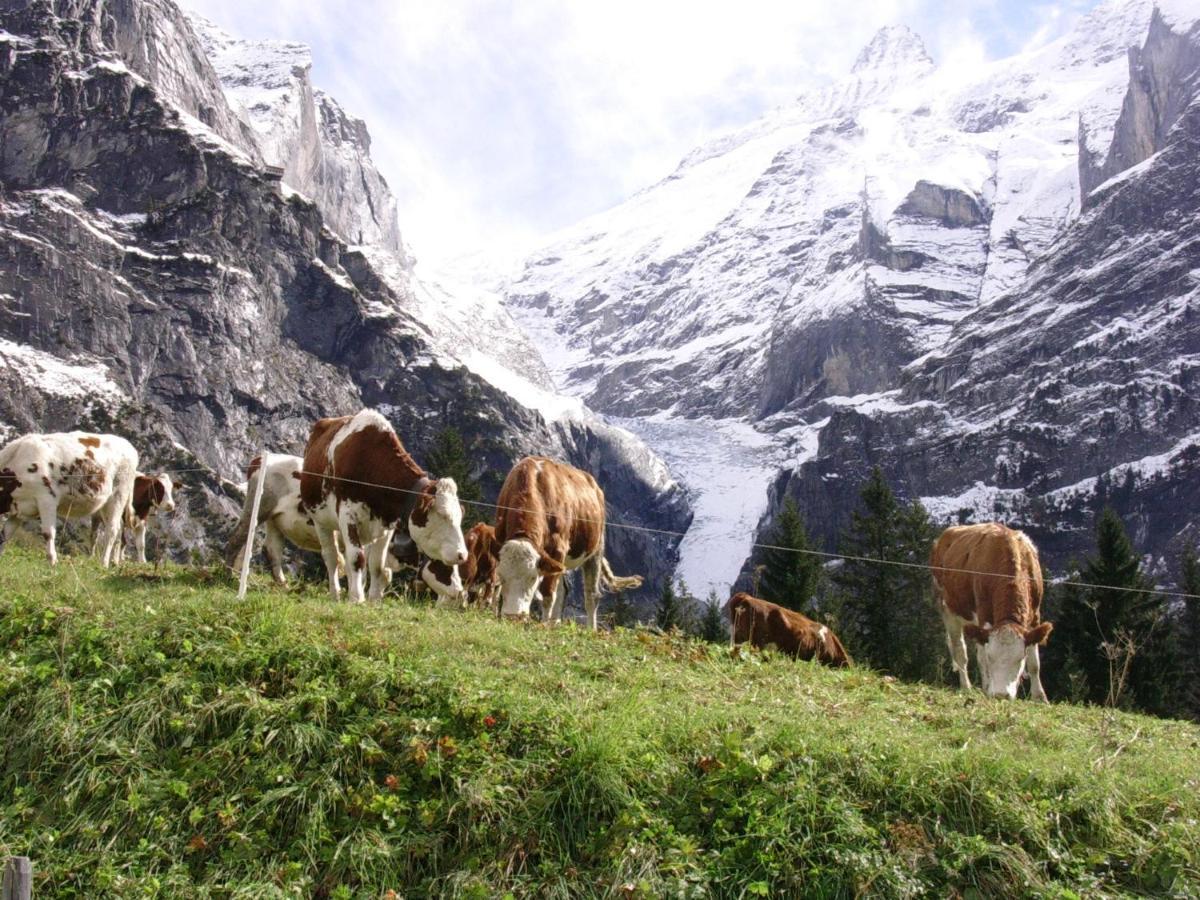 Firstsunne Grindelwald