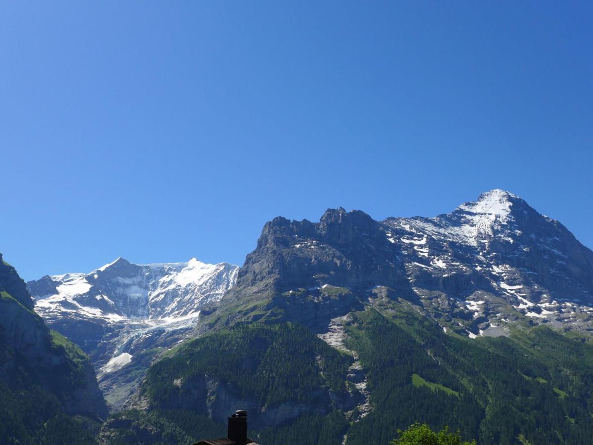 Snowflake By Interhome Apartment Grindelwald