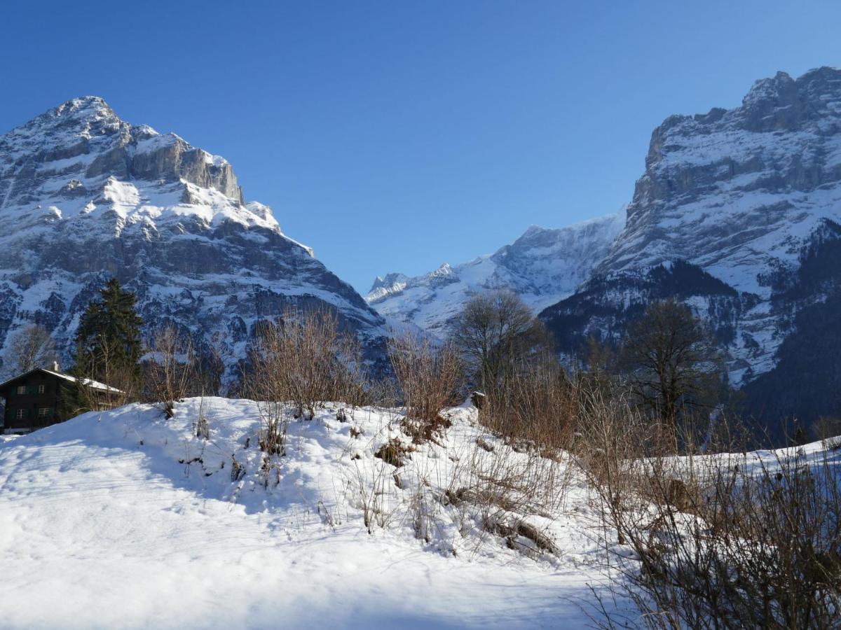 Blaugletscher By Interhome Apartment Grindelwald