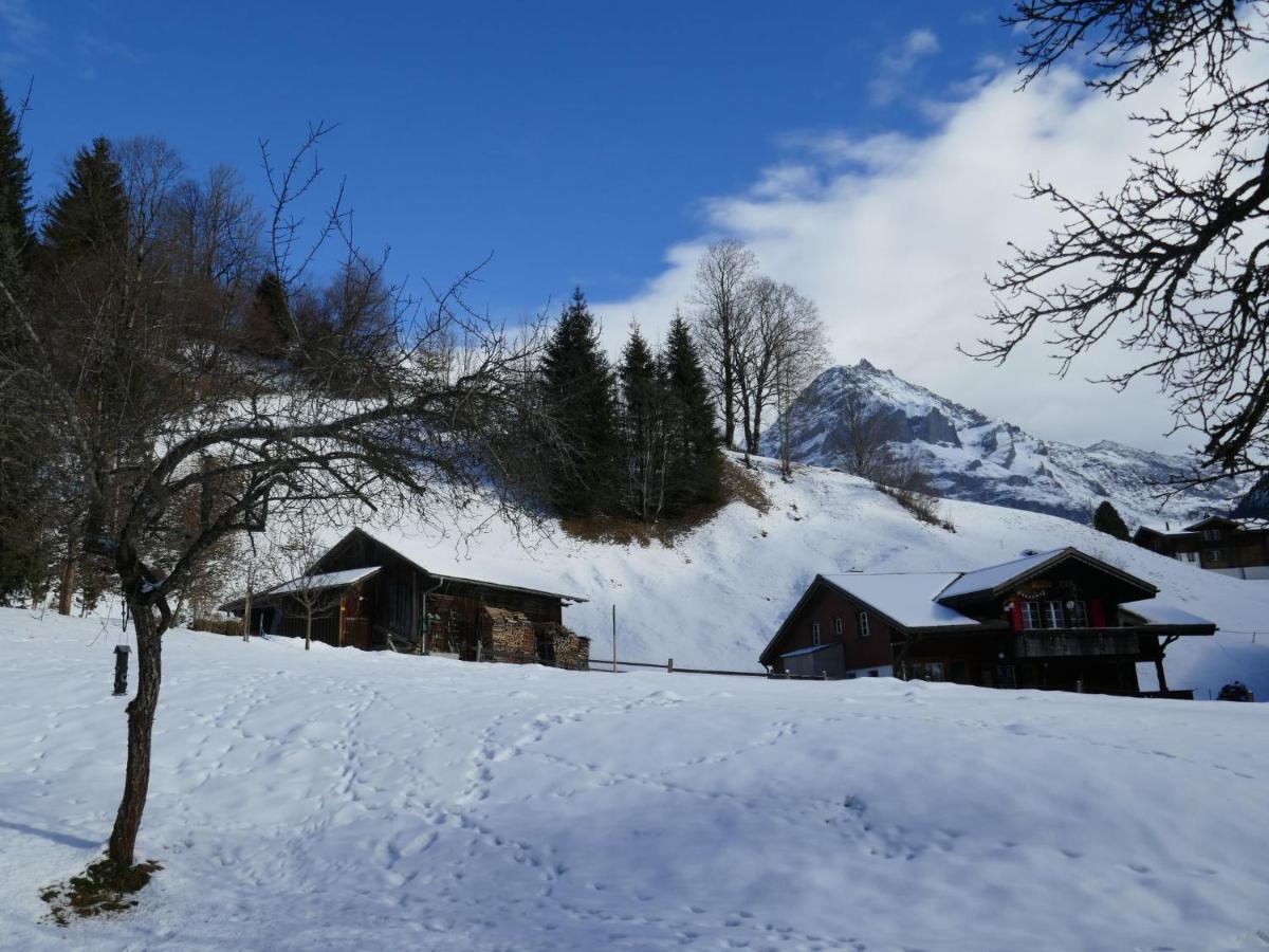Schwendihus-11 By Interhome Apartment Grindelwald