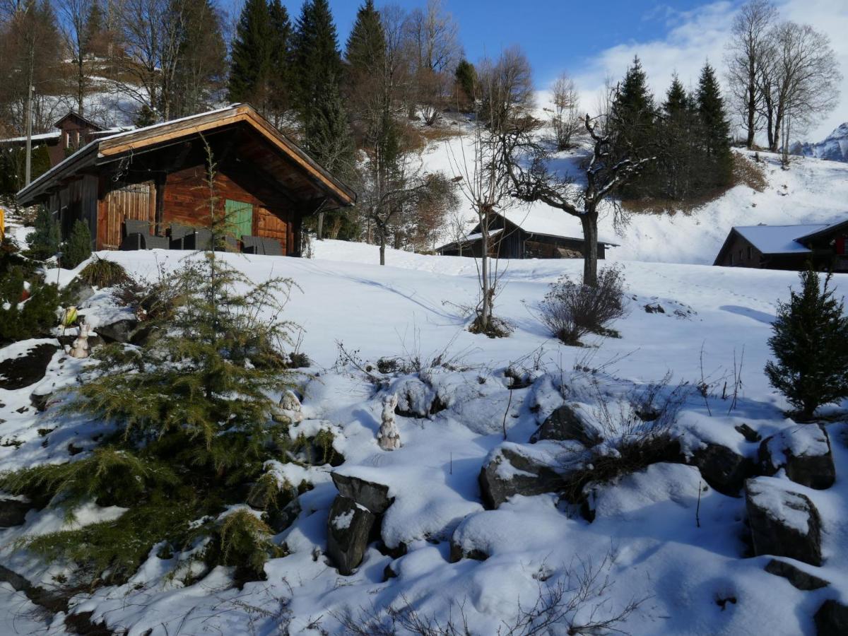 Schwendihus-11 By Interhome