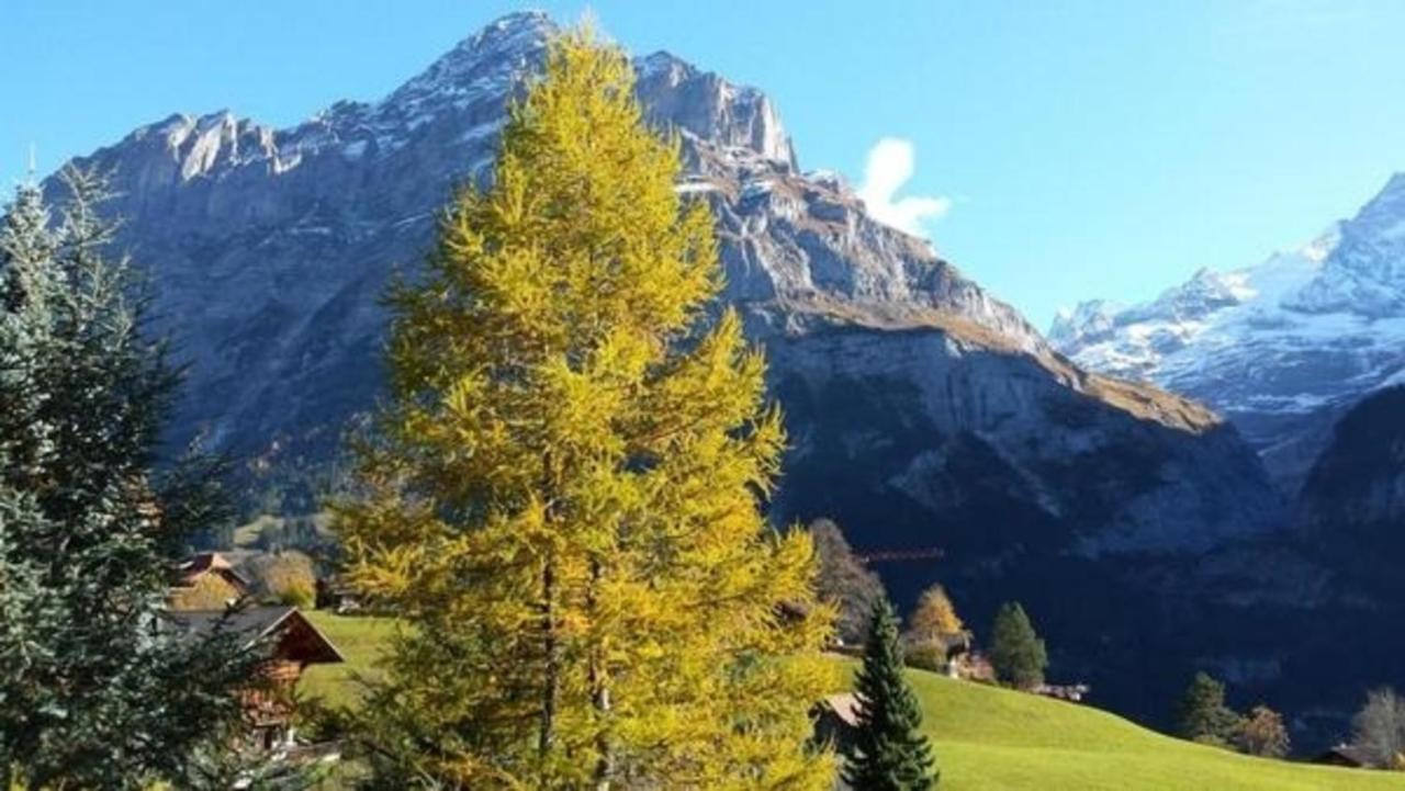 Chalet Moosrain - Studio West Apartment Grindelwald