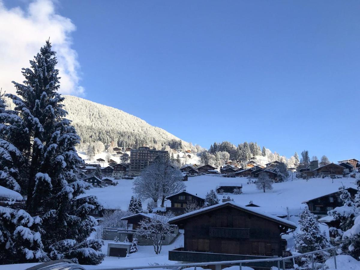 Apartment Chalet Anna By Interhome Apartment Grindelwald