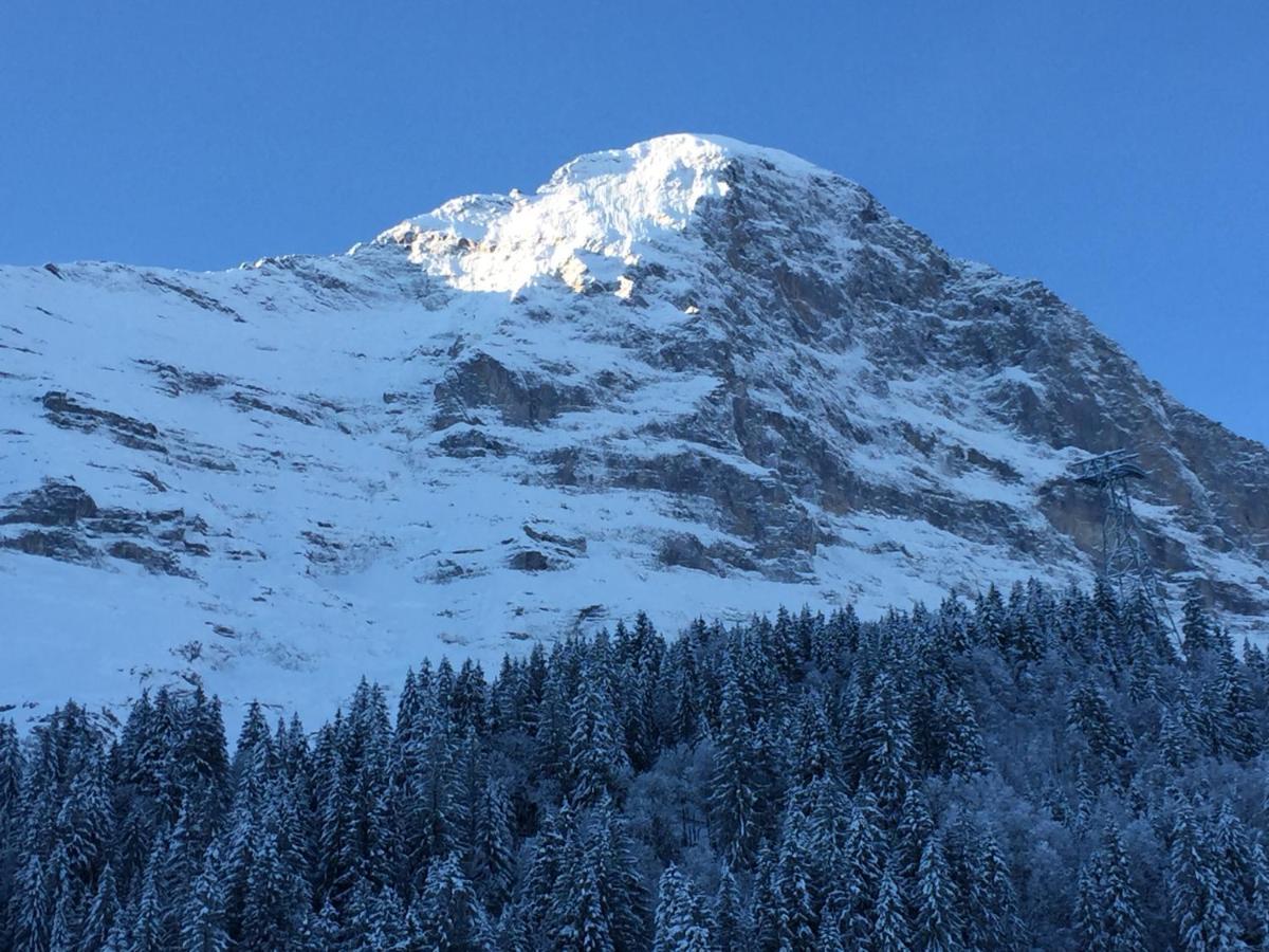 Apartment Eigerhome - Chalet Am Buehl Grindelwald