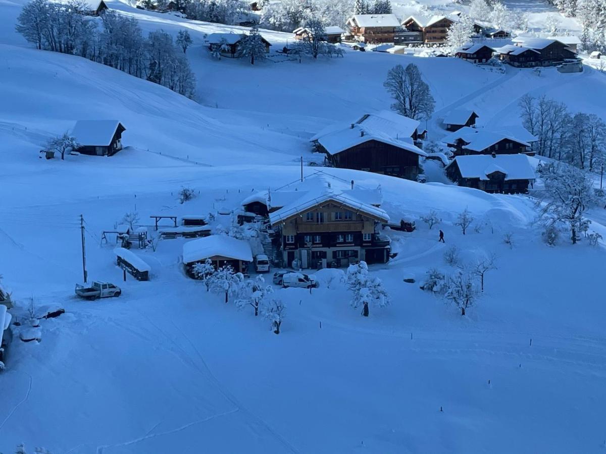Apartment Eigerhome - Chalet Am Buehl *