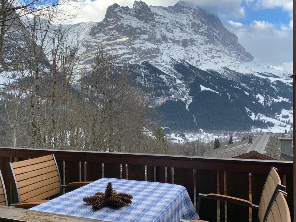 Apartment Grindelwald-sunneblick