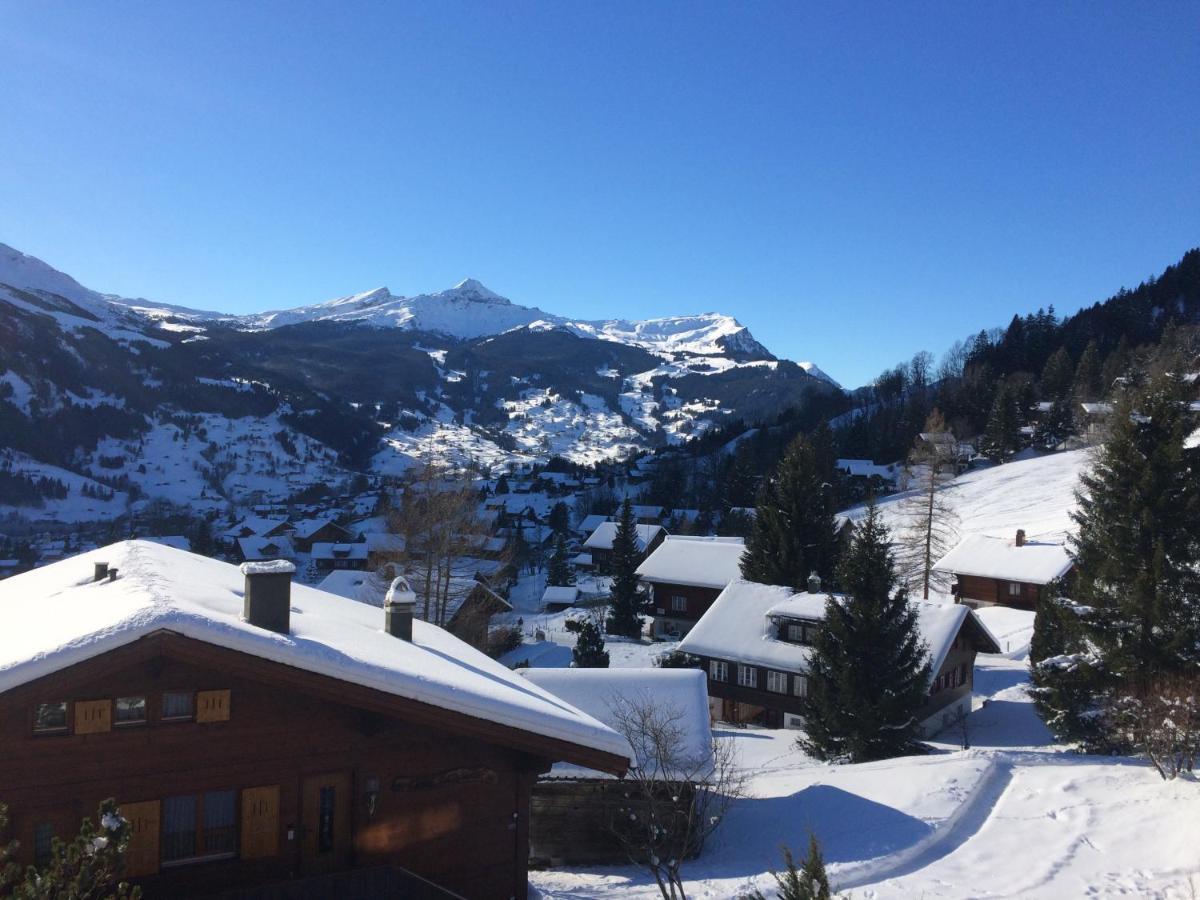 Grindelwald-sunneblick * Grindelwald