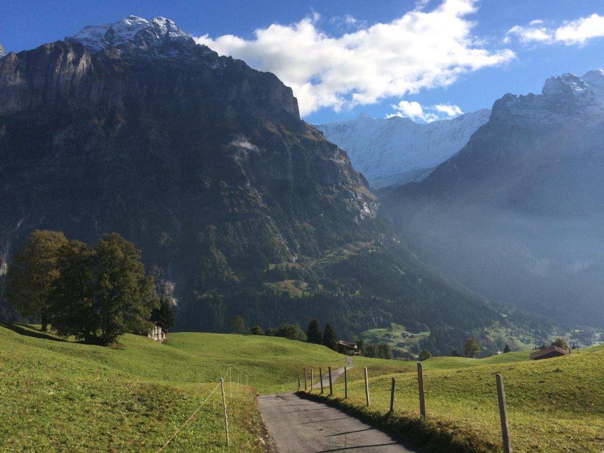 Grindelwald-sunneblick *