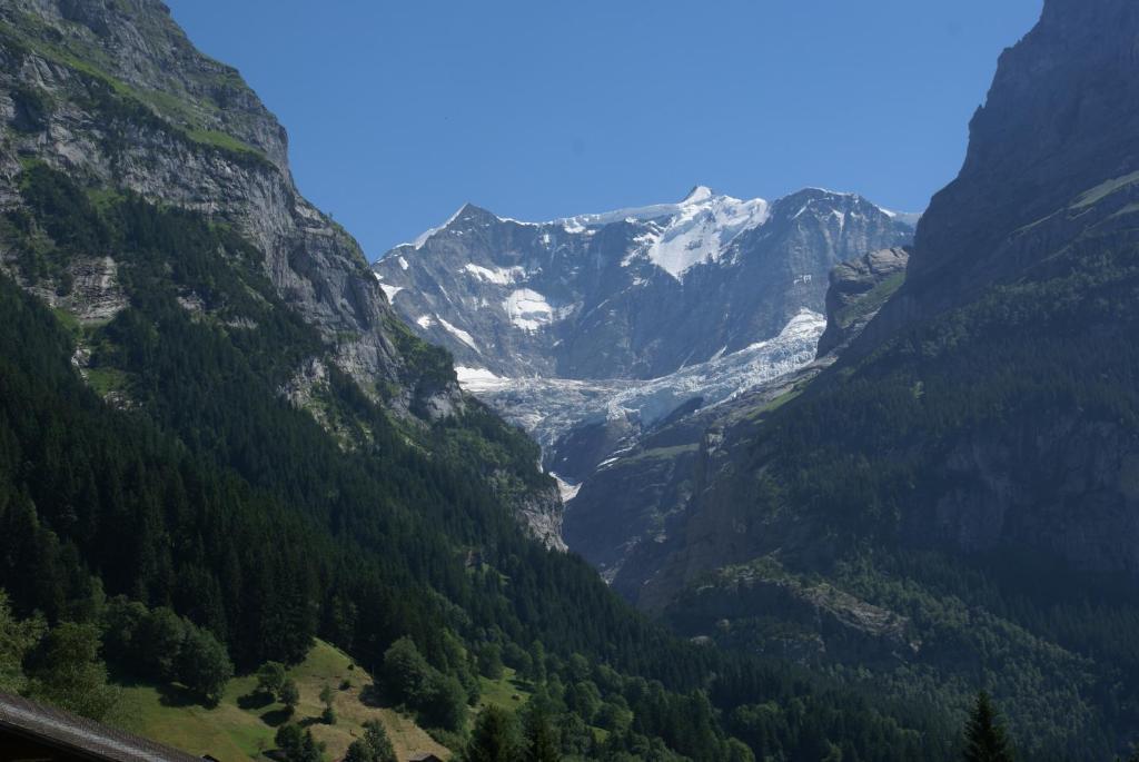Chalet Wyssefluh Apartment Grindelwald