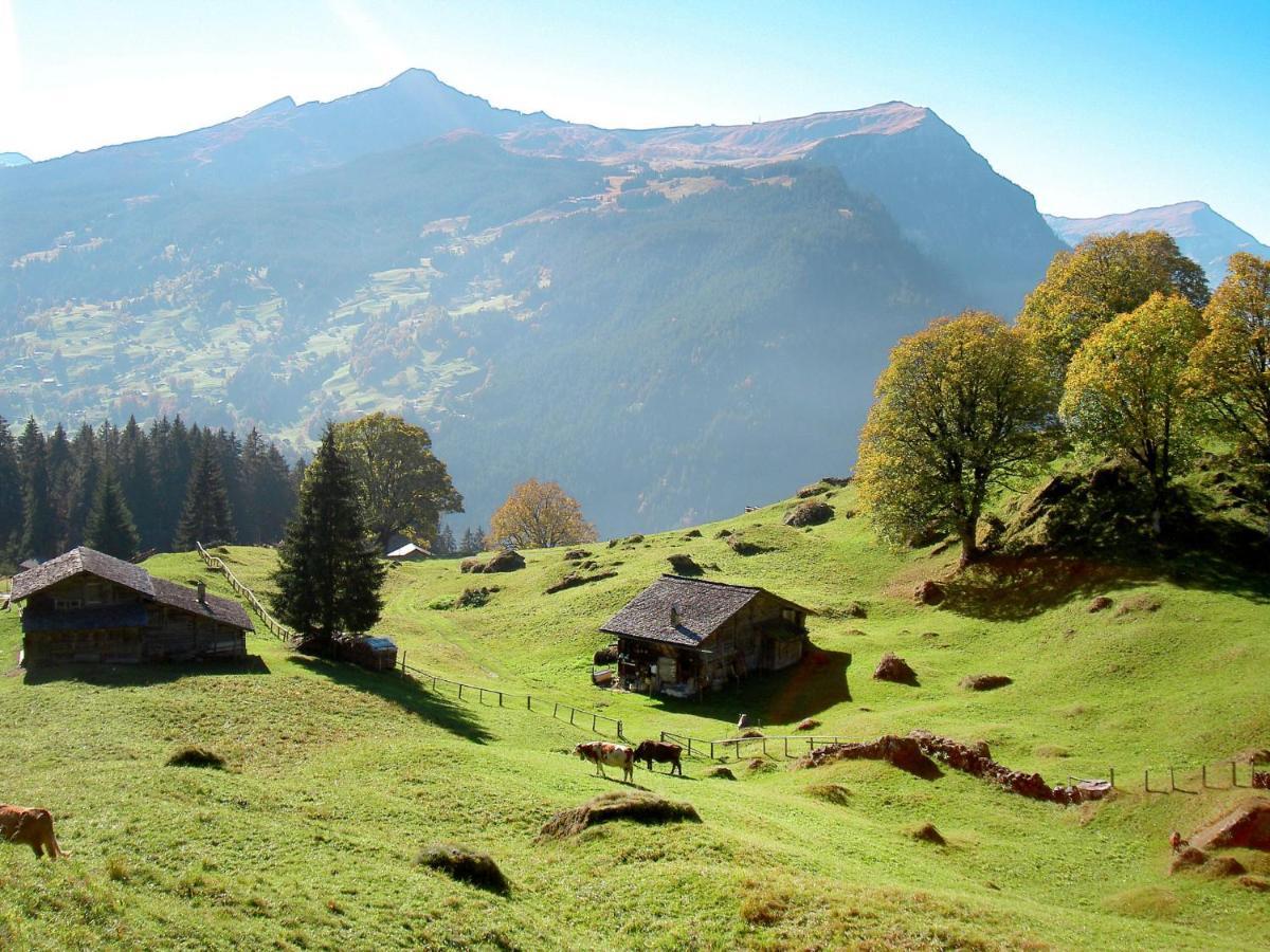 Wyssefluh By Interhome * Grindelwald